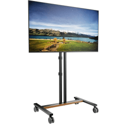 65” TV with Wheel Stand