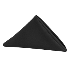 20 x 20 Napkin